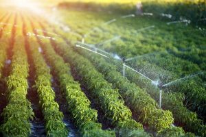 6 نوع سیستم آبیاری مورد استفاده در کشاورزی عکس 1