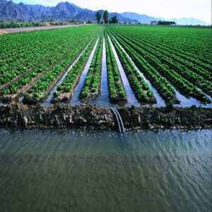 6 نوع سیستم آبیاری مورد استفاده در کشاورزی عکس 2